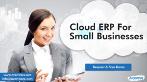 Cloud ERP for Small Businesses