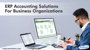ERP Accounting Solutions for Business Organizations