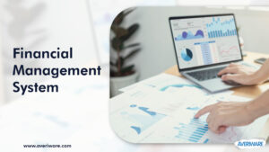 Financial Management System